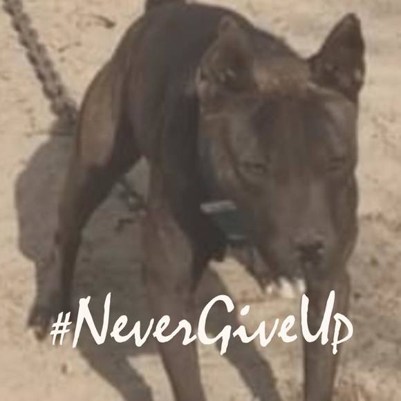 Meet your Posher, James - Picture 1 of 1